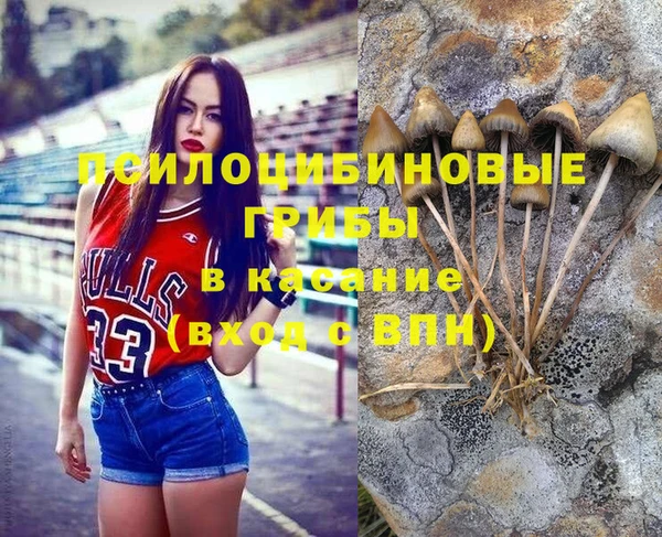 экстази Алексин