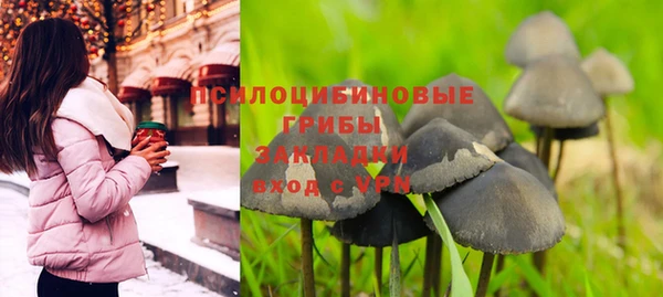хмурый Покачи