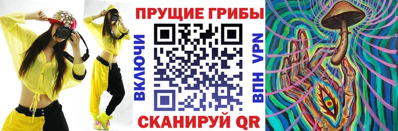 Псилоцибиновые грибы мицелий  Братск 