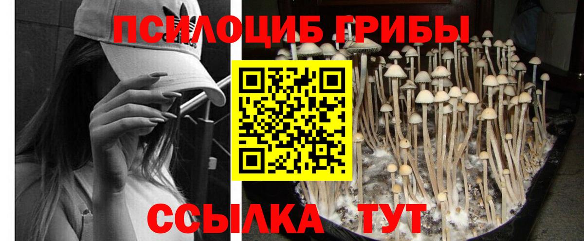 Галлюциногенные грибы Cubensis Братск