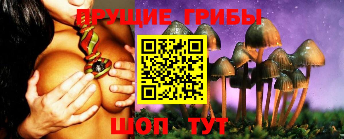Псилоцибиновые грибы мухоморы  Галлюциногенные грибы Psilocybine cubensis  Вход с VPN  Братск 