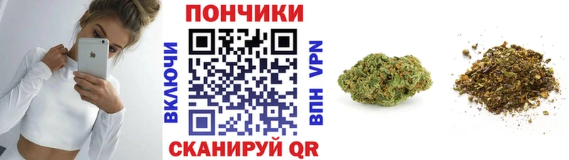Конопля сатива  Братск 